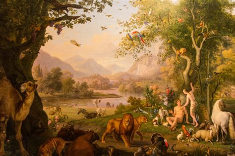 what is creation in christianity