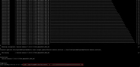 what is crowdstrike in linux