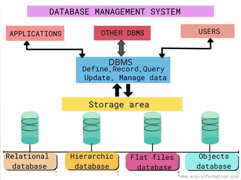 what is data and database in dbms