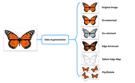 what is data augmentation in cnn