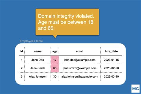 what is data integrity in the context of databases