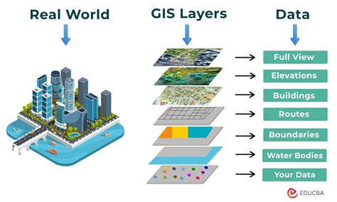 what is database management system in gis