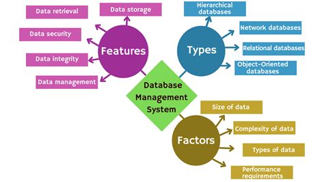 what is dbms explain its features with data type in ms access