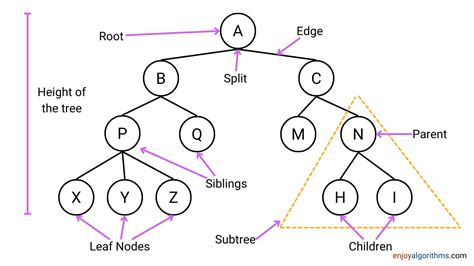 what is decision tree algorithm