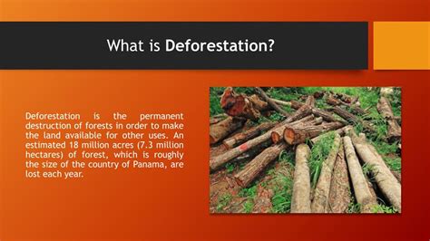 what is deforestation explain in detail