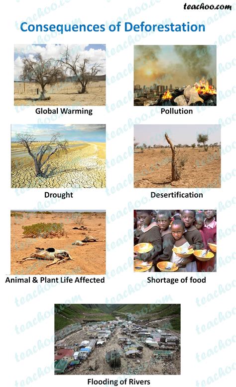 what is deforestation what are its consequences