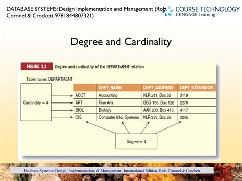 what is degree in relational database