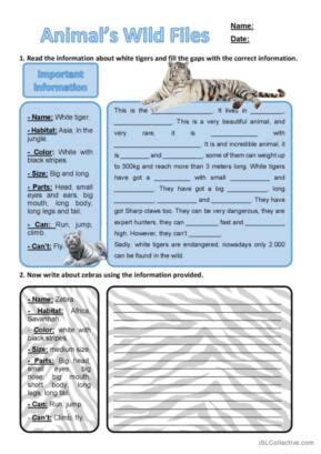 what is description in reading and writing