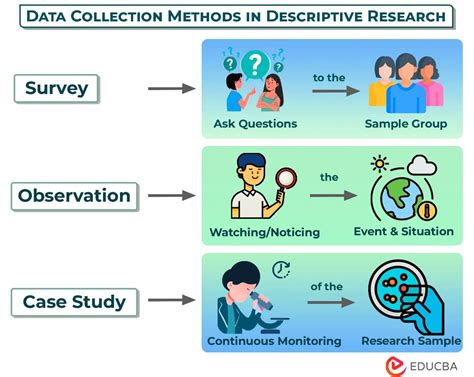 what is descriptive data collection