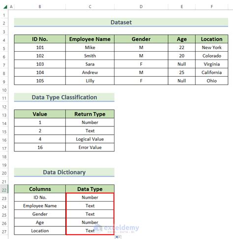 what is dictionary data type