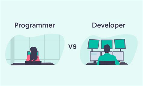 what is difference between developer and programmer