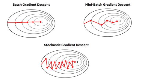 what is difference between gradient descent and stochastic gradient descent