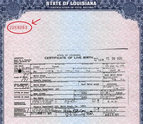 what is document number example