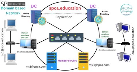 what is domain in networking
