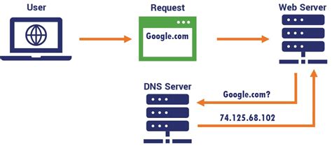 what is domain name server