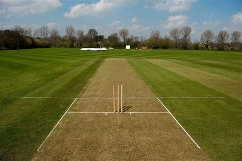 what is drop in pitch in cricket
