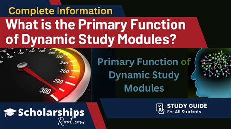 what is dynamic study module
