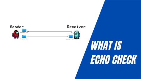 what is echo check in computer science