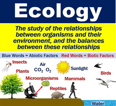 what is ecology the study of