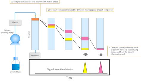 what is elution in chromatography