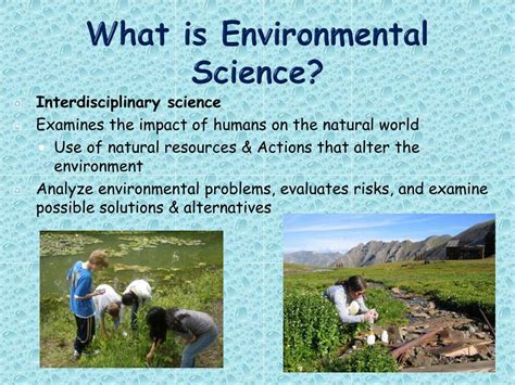 what is environment in environmental science
