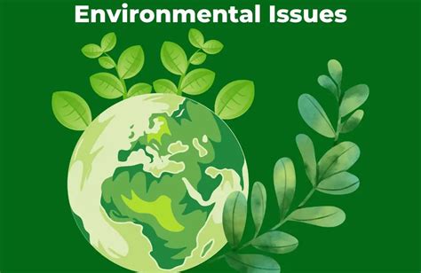 what is environmental issues definition