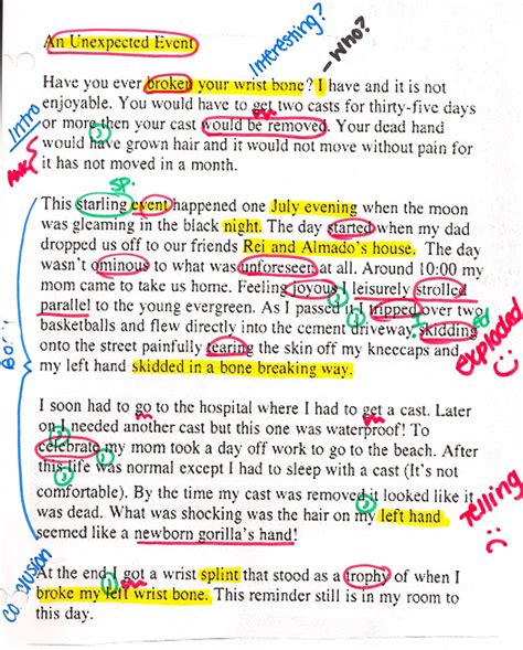 what is essay writing example for students