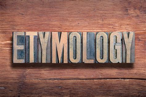 what is etymology