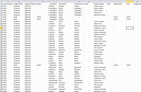 what is file index