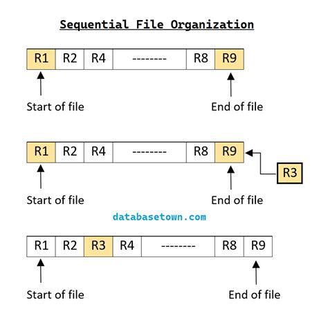 what is file organization in data structure with example