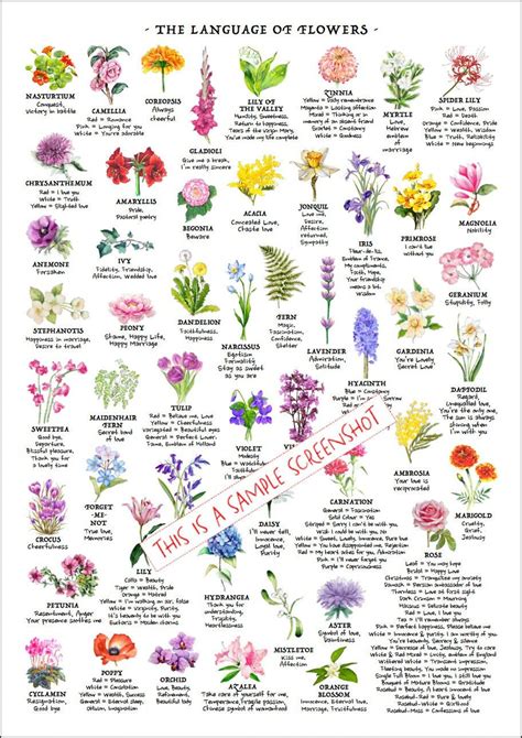 what is flower code