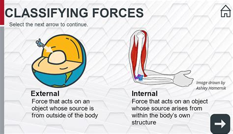 what is force vector in biomechanics