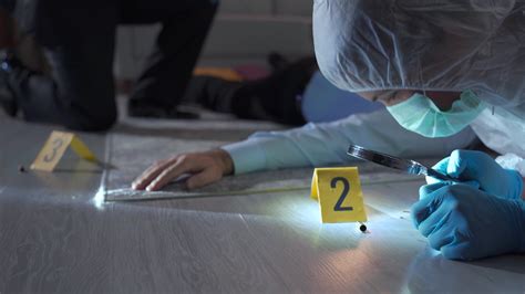 what is forensic criminologist