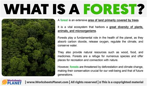 what is forest explain