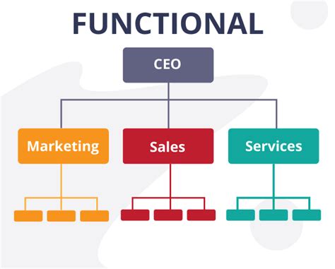 what is functional organizational structure in business