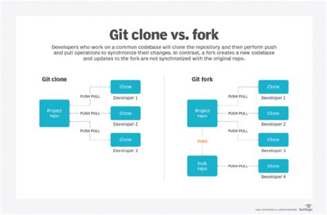 what is git fork vs branch