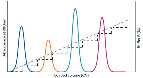 what is gradient elution in chromatography