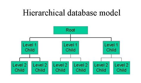what is hierarchical data model in dbms