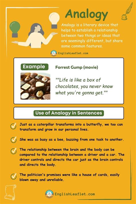 what is human analogy with examples