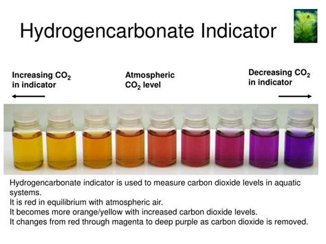 what is hydrogen carbonate indicator made of