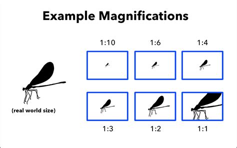 what is image magnification