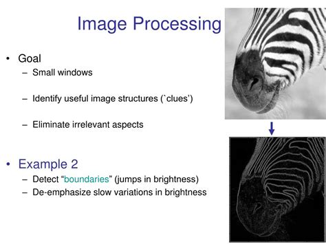 what is image processing with example