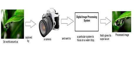 what is image processor in camera