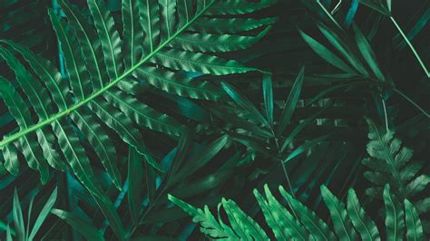 what is image texture in graphic design