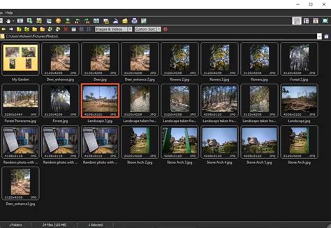 what is image viewer for pc