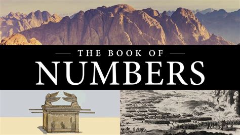 what is in the book of numbers