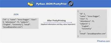 what is indent in python json