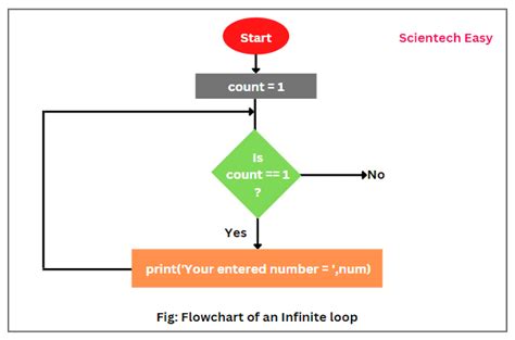 what is infinite loop explain with example