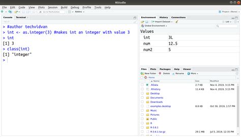 what is integer data type in r