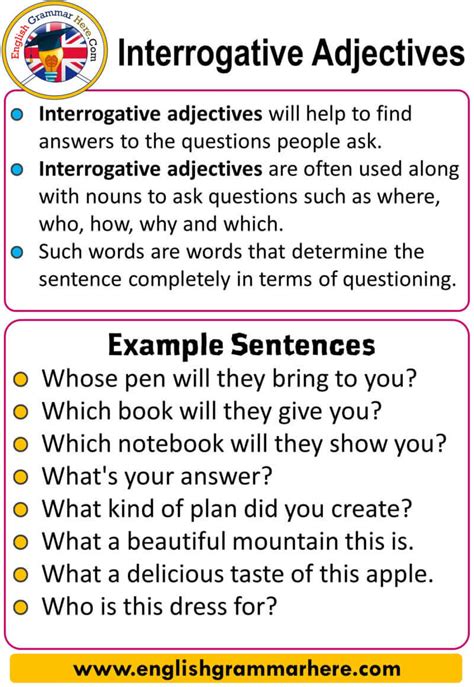 what is interrogative adjective with example sentence